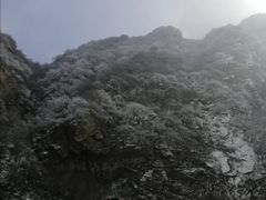 -终南山国家森林公园