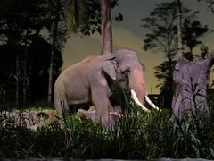 -夜间野生动物园
