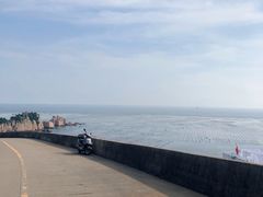 -枸杞岛