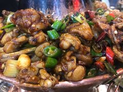 -蛙麻蛙辣炭火蛙锅(南环大街店)