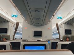 -西沃古尔·拉姆古兰爵士国际机场