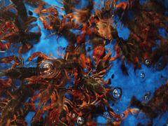 -香山湖渔家大院