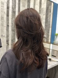 -SALON TV x ILCOLPO