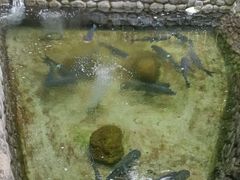 -耕渔小院·湖南鱼鲜(望城店)