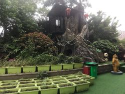 点击看大图 -可可天空农场(中大店)