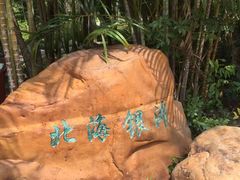 -深圳国际园林花卉博览园