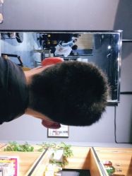 -MOVAN  HAIR莫凡匠人发型屋