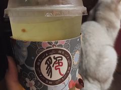 -猫色咖啡·猫咖