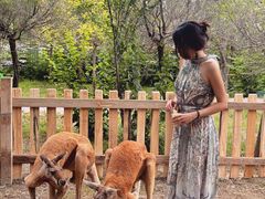 -水上乐园·欢乐世界