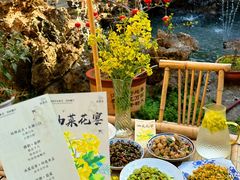 -苏州太湖西山岛开心农场