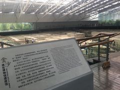 景点-金沙遗址博物馆