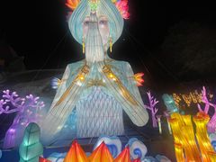 -祥源·阜阳生态乐园