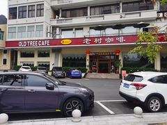 -OLD TREE老树咖啡·西餐厅(台山人工湖店)