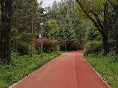 -长春市南湖公园