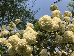 -大龙山(地铁站)