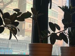 -山茶云南菜(永安里店)