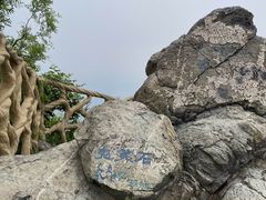 -北京西山国家森林公园