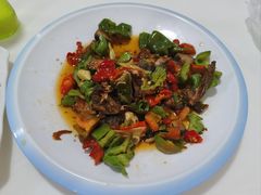 -煲来饱去冷水鱼