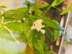 -燕莎友谊商城(亮马桥店)