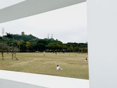 -紫马岭公园