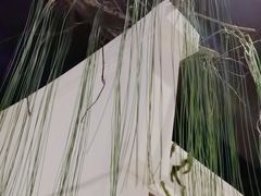 -春天来了(印象新天地店)