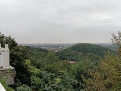 -上海佘山国家森林公园西佘山园