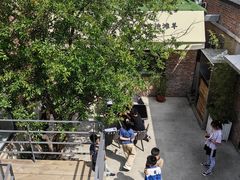 -羊门客在·烤盐池滩羊·川菜