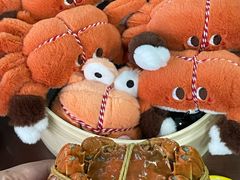 -黄记大闸蟹专卖店·活蟹·醉蟹