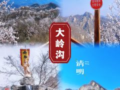 -大岭沟猕猴桃谷风景区