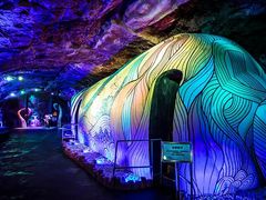 -贝壳梦幻世界