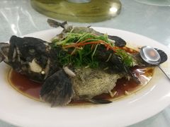 清蒸石斑鱼-宜兴隆家宴·私房菜(泰安华庭店)