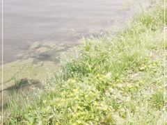-美兰湖景区