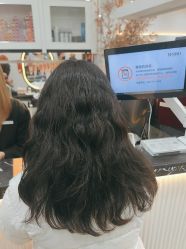-YESIDO椰岛造型