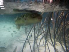 -福州罗源湾海洋世界旅游区