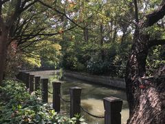 -上海佘山国家森林公园西佘山园