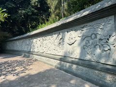 -南宁良凤江国家森林公园