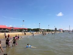 -碧海金沙