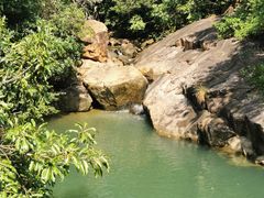 -广州白江湖森林公园