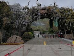 -石老人观光园