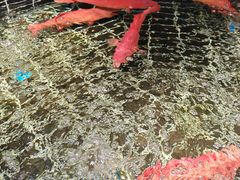 -好兄弟郭巨海鲜(天一阁店)