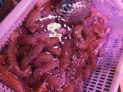 -202特色排档(五缘湾店)