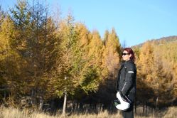 -虫二·专注健康烫染沙龙