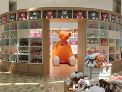 -济州岛泰迪熊博物馆