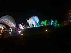 -清迈夜间动物园