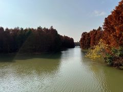 -上海海湾国家森林公园