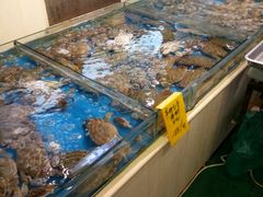 水产区-北塘海鲜·天津菜(大光明桥旗舰店)