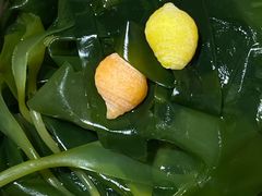 -十二舍·湯物素煮(江泰潤政店)