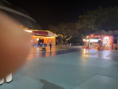 -广州长隆国际大马戏