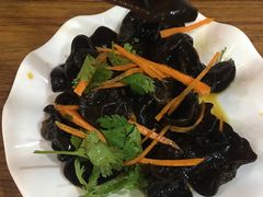 -鸿毛饺子(紫竹桥店)