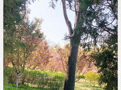 -迎泽公园